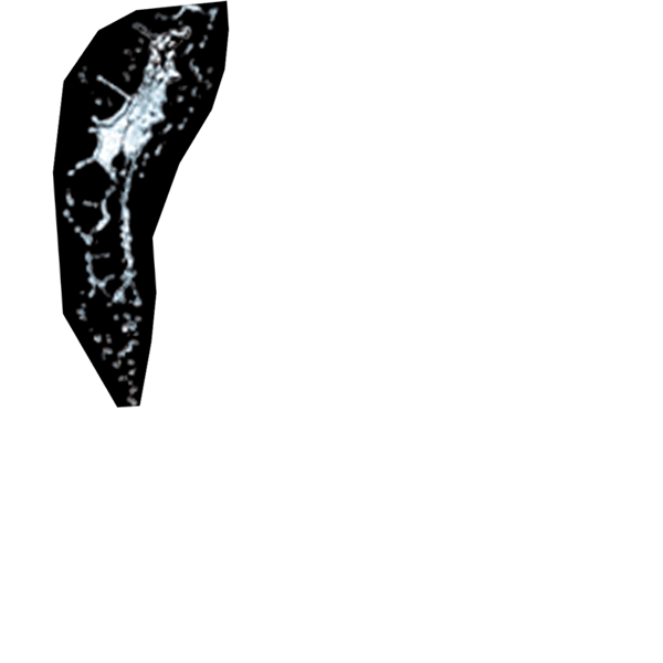 indexイメージ画像2